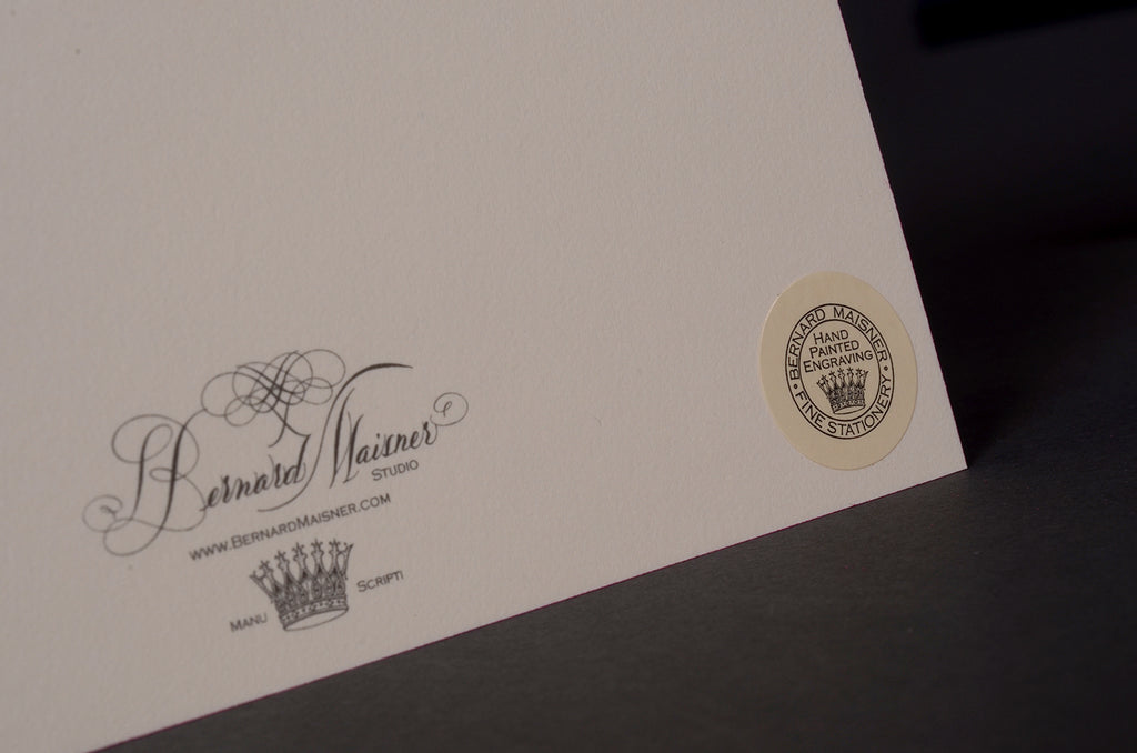 Nautilus Shells Hand-painted Notecards | Set of 8