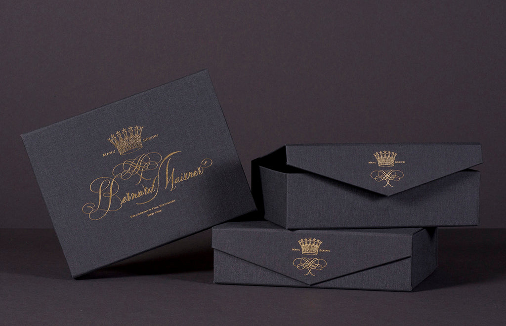 Nautilus Shells Hand-painted Notecards | Set of 8