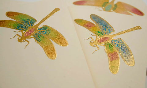 Dragonfly (single dragonfly) Hand-painted Notecards | Set of 8